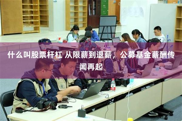 什么叫股票杆杠 从限薪到退薪，公募基金薪酬传闻再起