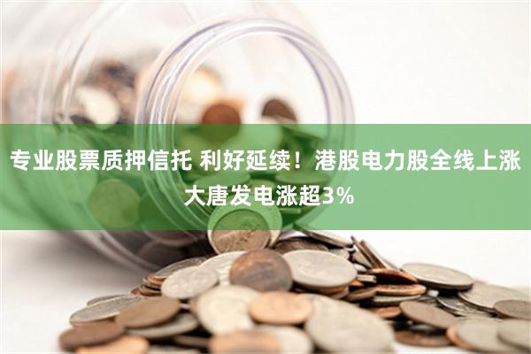 专业股票质押信托 利好延续！港股电力股全线上涨 大唐发电涨超3%