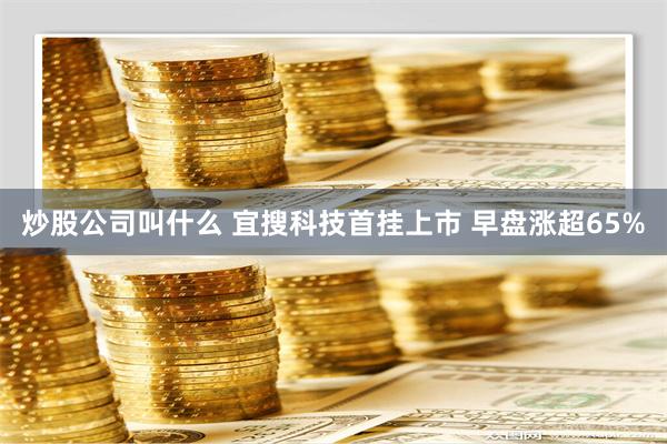 炒股公司叫什么 宜搜科技首挂上市 早盘涨超65%