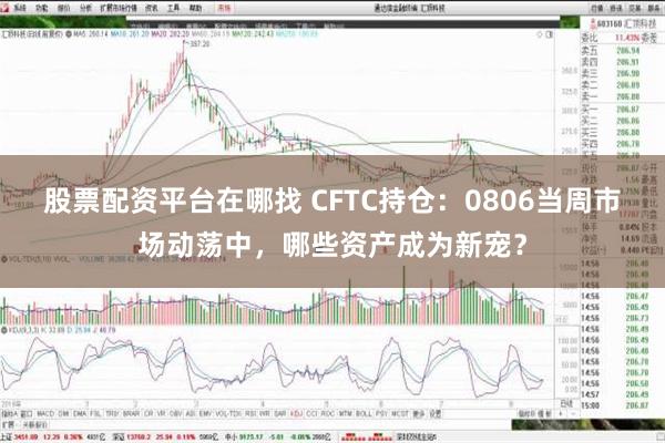 股票配资平台在哪找 CFTC持仓：0806当周市场动荡中，哪些资产成为新宠？