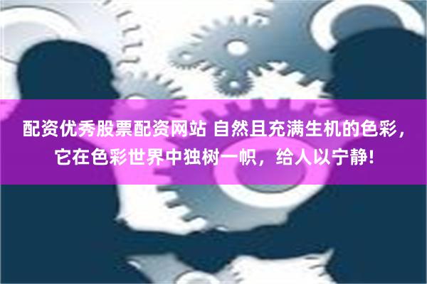 配资优秀股票配资网站 自然且充满生机的色彩，它在色彩世界中独树一帜，给人以宁静!