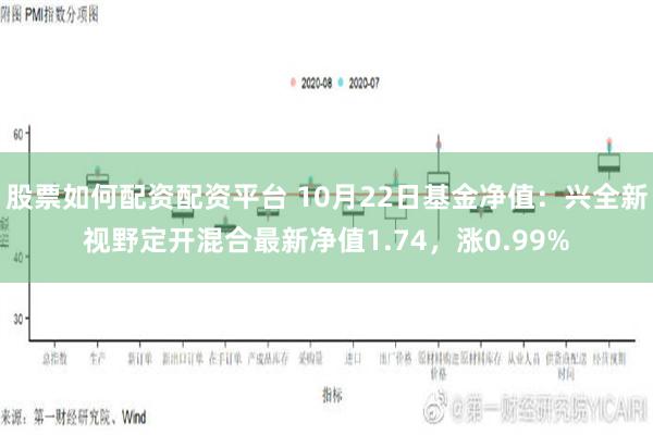 股票如何配资配资平台 10月22日基金净值：兴全新视野定开混合最新净值1.74，涨0.99%