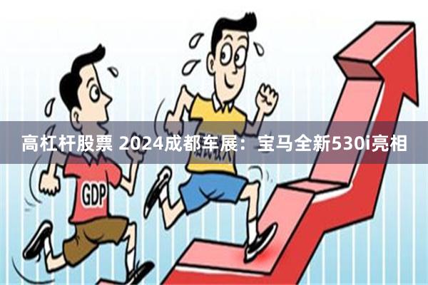 高杠杆股票 2024成都车展：宝马全新530i亮相