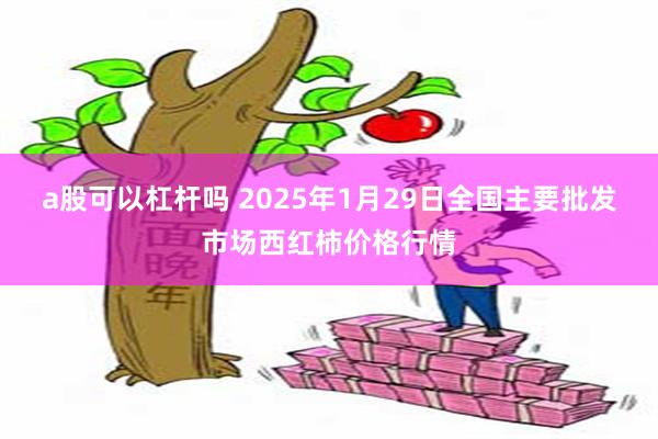 a股可以杠杆吗 2025年1月29日全国主要批发市场西红柿价格行情