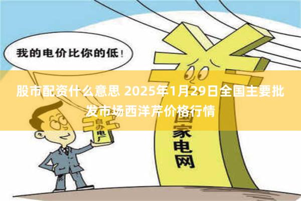 股市配资什么意思 2025年1月29日全国主要批发市场西洋芹价格行情